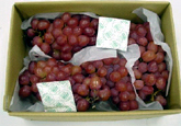 Grape｜Freshness Retention Agent SAN-AI ETHYLENE CONTROL