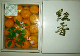 Mandarin orange｜Freshness Retention Agent SAN-AI ETHYLENE CONTROL