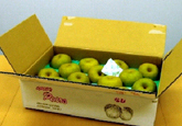 Pear｜Freshness Retention Agent SAN-AI ETHYLENE CONTROL